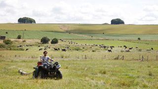 This photo shows the electromagnetic field survey being conducted around Stonehenge. Here we see a bearded man with sunglasses riding a quad bike around a grassy field, dragging a device behind him. In the backgrounds you can see a whole heard of grazing cows.