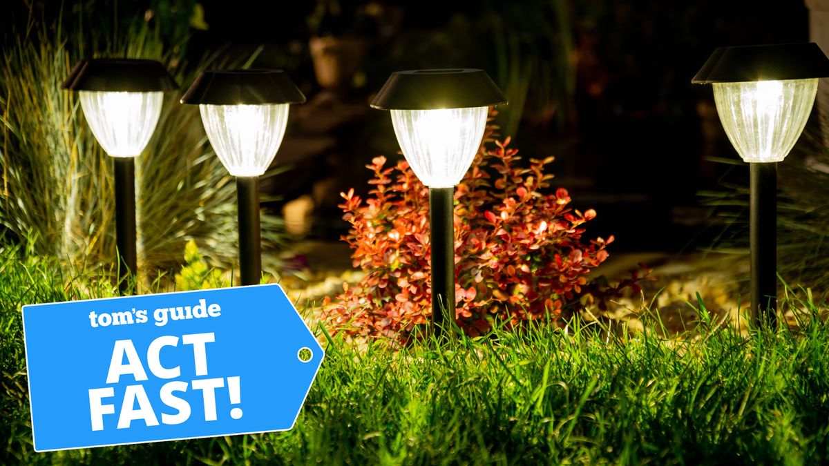 Solar lights in backyard