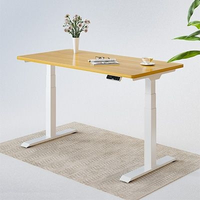 FlexiSpot E7 frame + Bamboo series standing desk review - TECHTELEGRAPH