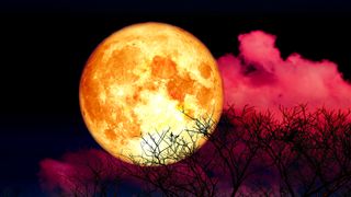 Hunter's Moon: Full blood strawberry moon back cloud and tree in the field and dark red sky, Elements of this image furnished by NASA.