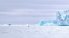 The expedition ship M/S Explorer inches up to the edge of Iceberg A-68a with a humpback whale breaching the surface in the Weddell Sea.
