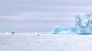 The expedition ship M/S Explorer inches up to the edge of Iceberg A-68a with a humpback whale breaching the surface in the Weddell Sea.