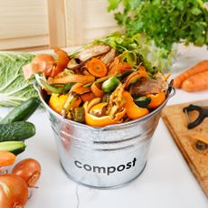 Compost bucket in kitchen full of food scraps