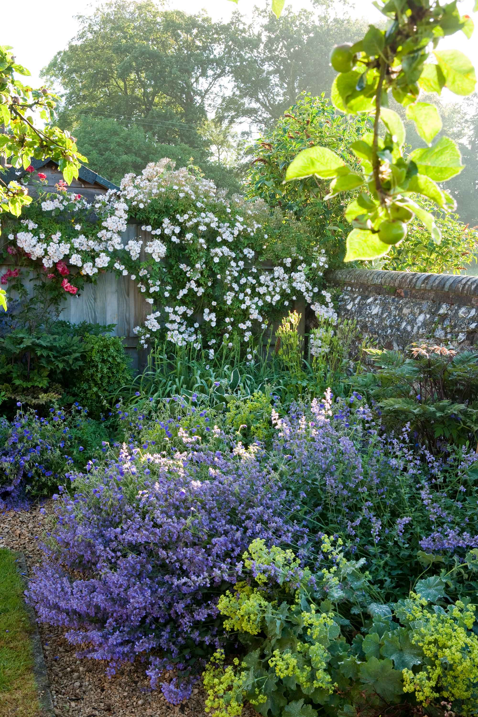 perennial planting in cottage garden border