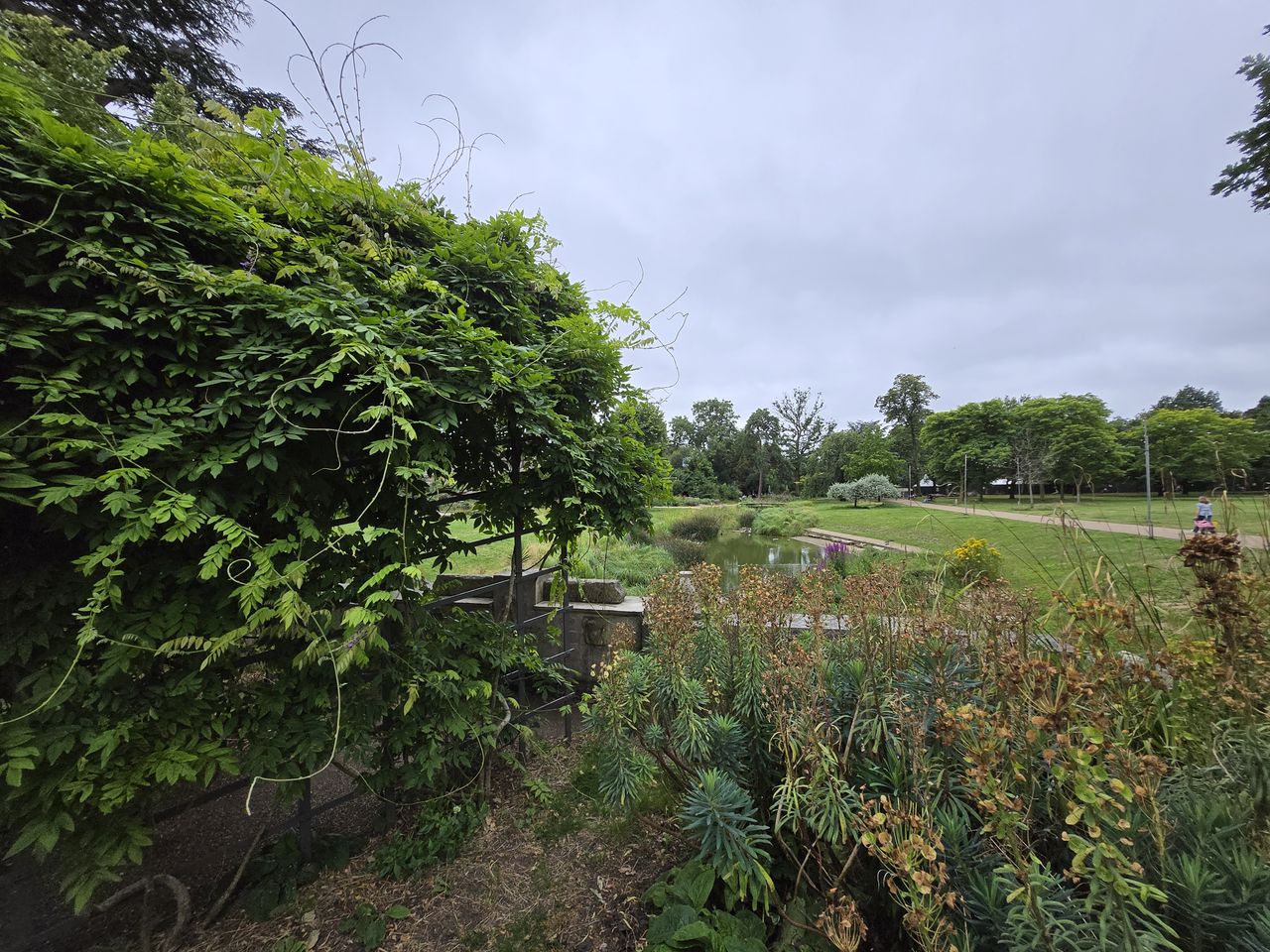A photo captured on the Samsung Galaxy Z Fold 6