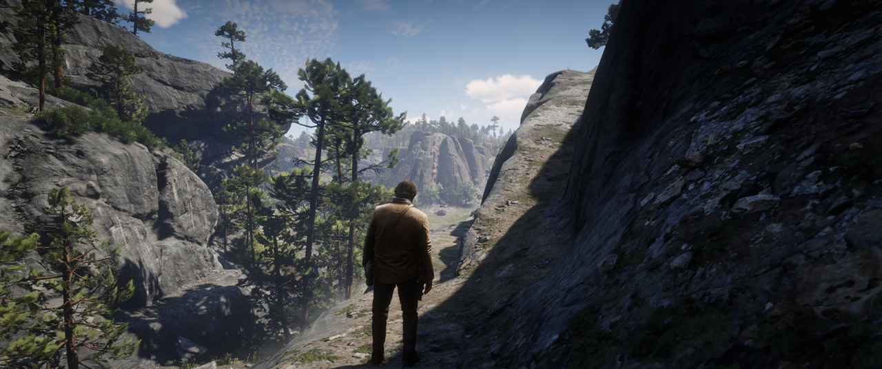 Red Dead Redemption 2 ultrawide