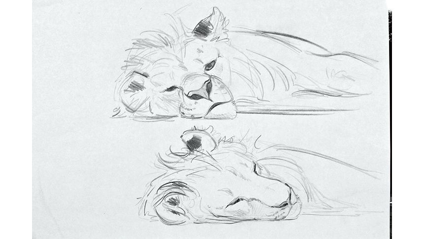 Aaron Blaise: Lions