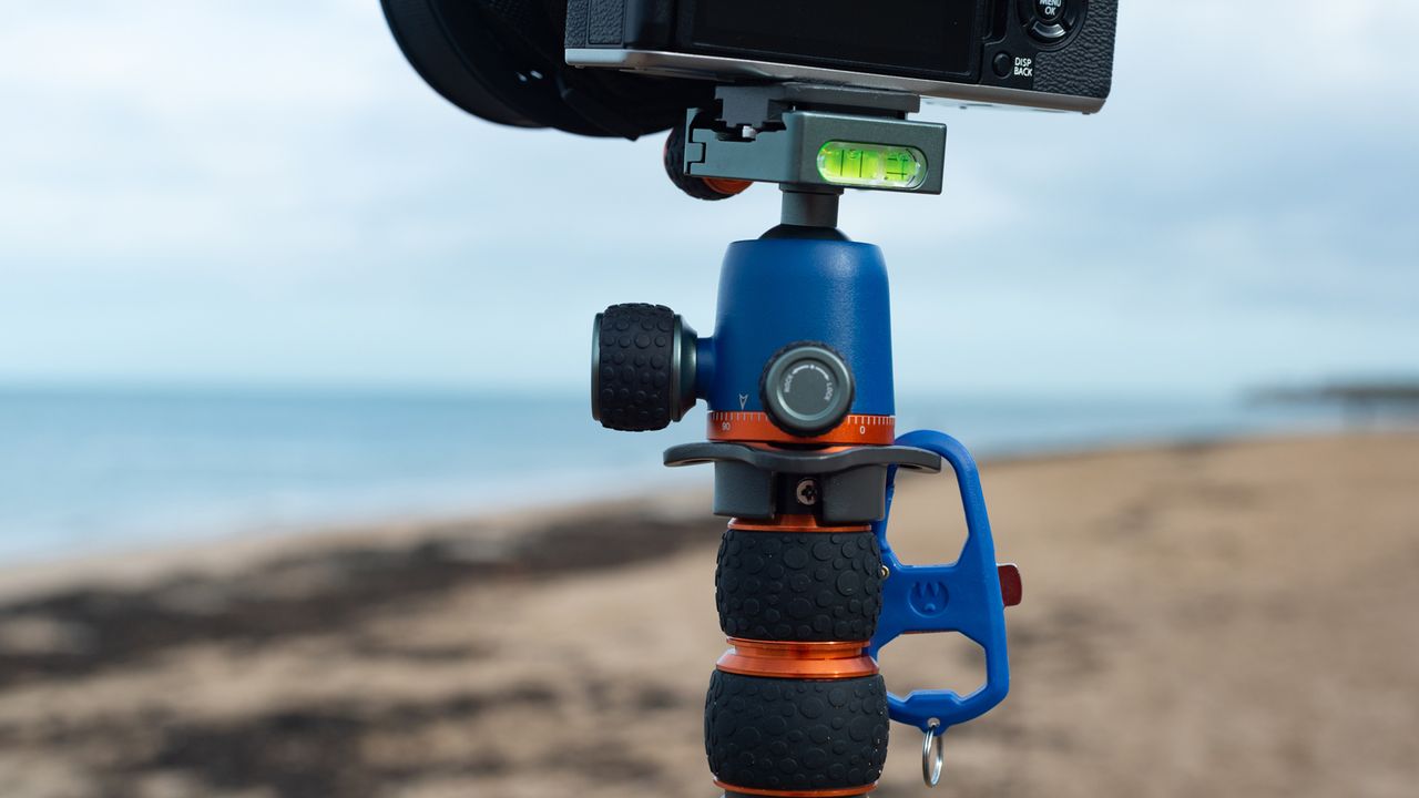 3 Legged Thing PUNKS Brian Tripod with Airhed review: image shows closeup of 3 Legged Thing PUNKS Brian Tripod with Airhed