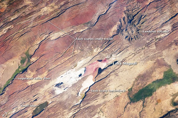 An astronaut aboard the International Space Station snapped this photo of the East African Rift, the spot where Earth&#039;s crust is ripping apart and where a trove of early human ancestor fossils have beenf found.