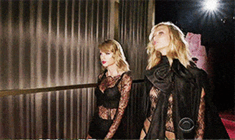 GIF ¦ Taylor Swift & Karlie Kloss