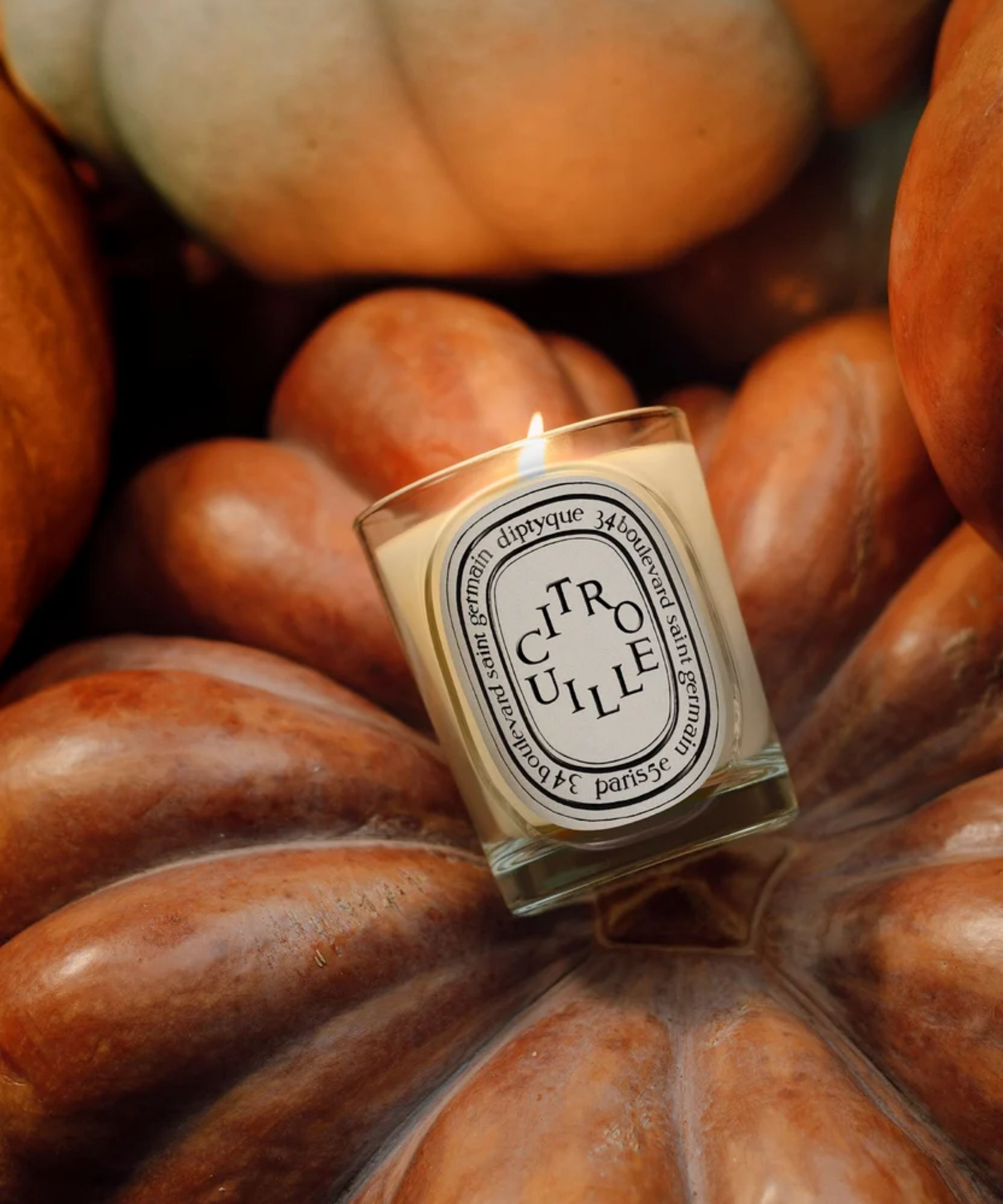 Diptyque Citrouille Classic candle