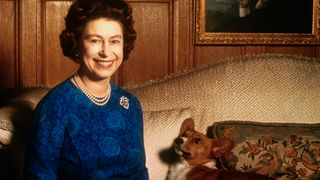 Queen Elizabeth II smiles radiantly during a picture-taking session in the salon at Sandringham House. Her pet dog looks up at her. These photos were taken in connection with the royal Family's planned tour of Australia and New Zealand.