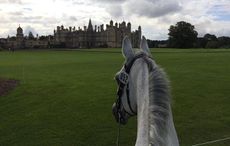 Bug-at-burghley.jpg