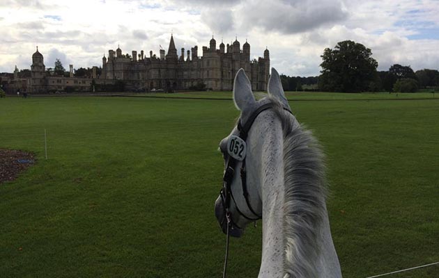 Bug-at-burghley.jpg