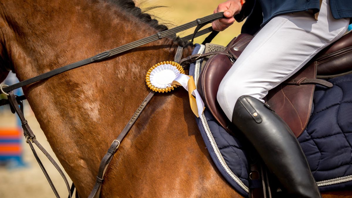 How to watch Equestrian at Olympics 2020 key dates, live stream and more TechRadar