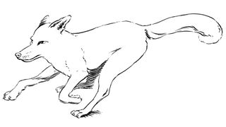 outline of an image of a fox
