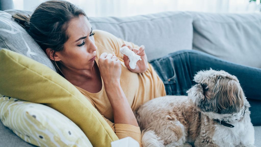 Picture of Is kennel cough contagious to humans? | PetsRadar