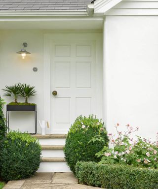 white front door and porch with planting