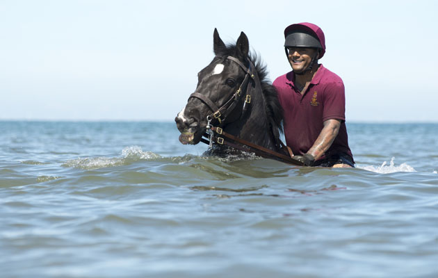 The Household Cavalry Mounted Regiment enjoy a morning riding on the beach