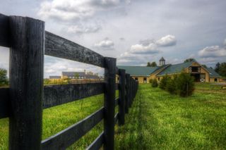 The Equestrian Center at Salamander Middleburg with a black fence to its left and surrounded by tall grass