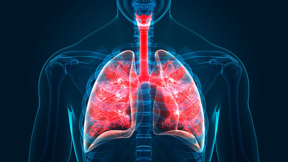 Einen neuen Körperteil finden, der in der Lunge verborgen ist