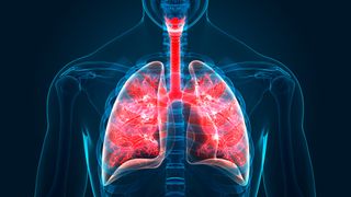 Researchers have discovered a new never-before-seen cell in the human lungs, which plays a vital role in the functioning of the respiratory system.