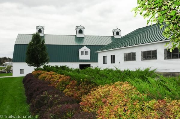 One of the many barns at Pinehill Farm