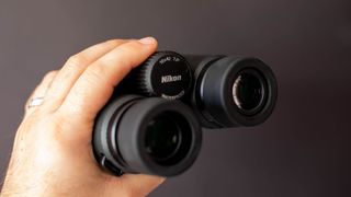Nikon prostaff p7 10x42 eyepieces
