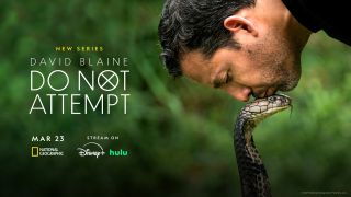 David Blaine kissing a snake in David Blaine: Do Not Attempt key art