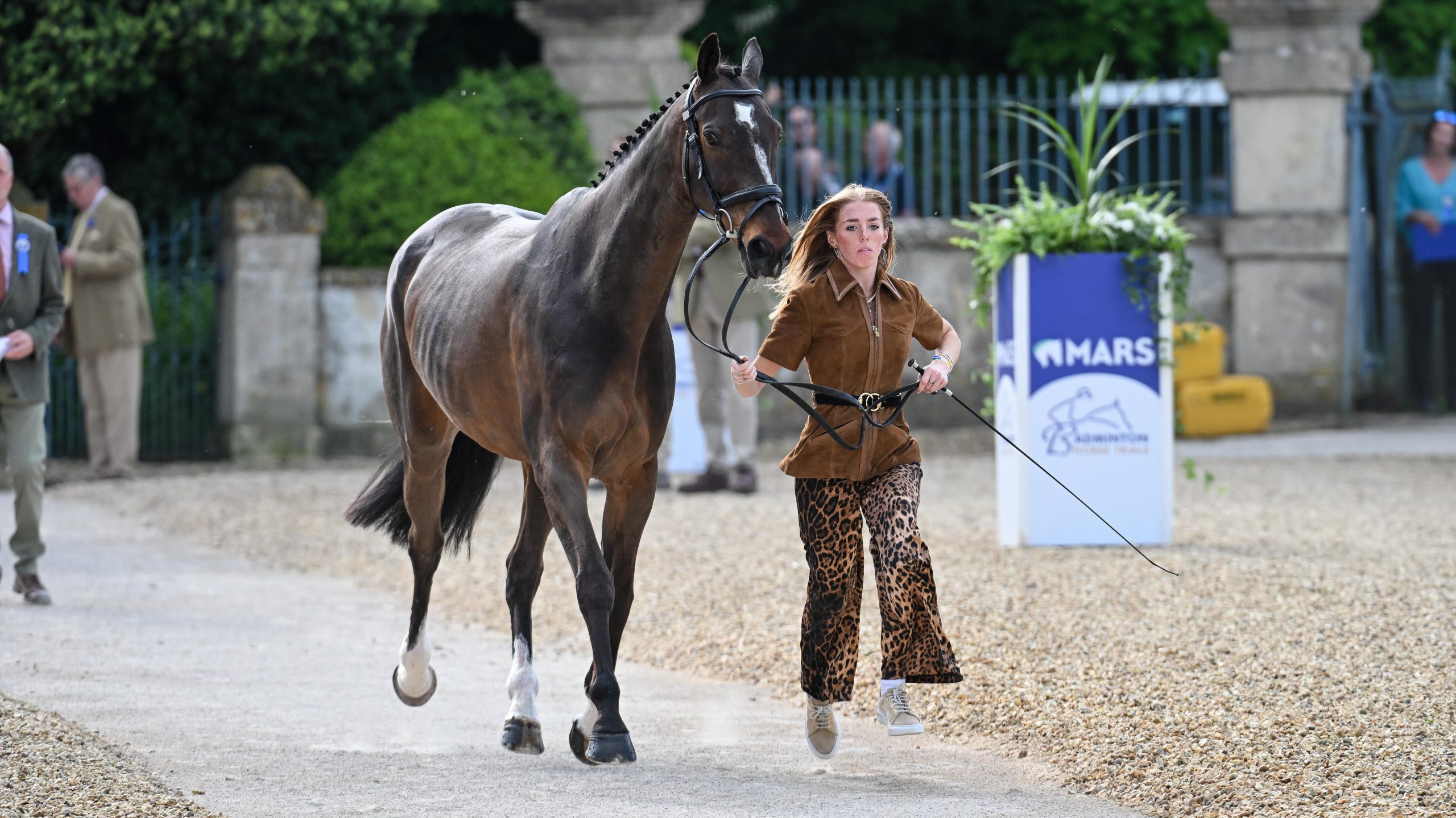Badminton Horse Trials trot-up pictures: Alice Casburn and Topspin