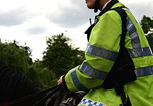 police-horse.jpg