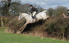 SouthNotts_Hunting16pn_2288.jpg