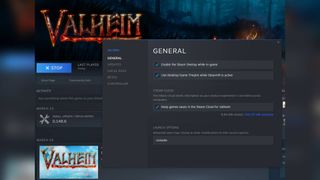 Enabling Valheim cheats by editing the Launch Options properties