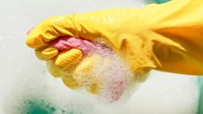 A hand in a rubber glove holding a soapy cloth