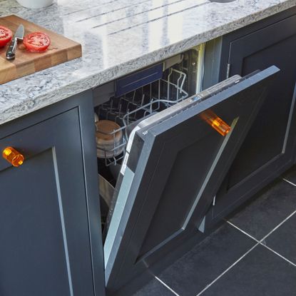 Blue kitchen cabinets with an open integrated dishwasher