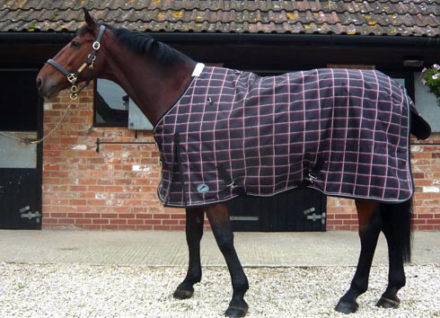 JHL-Lightweight-Plus-Turnout-Rug.jpg