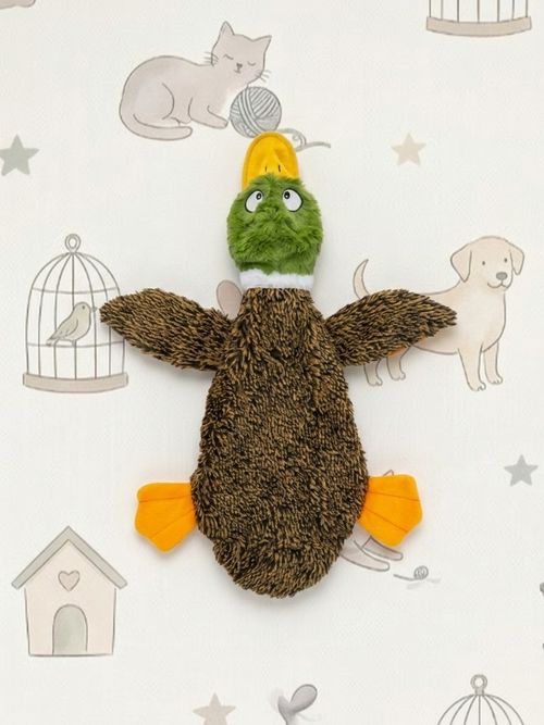 Squeaky Dog Toy