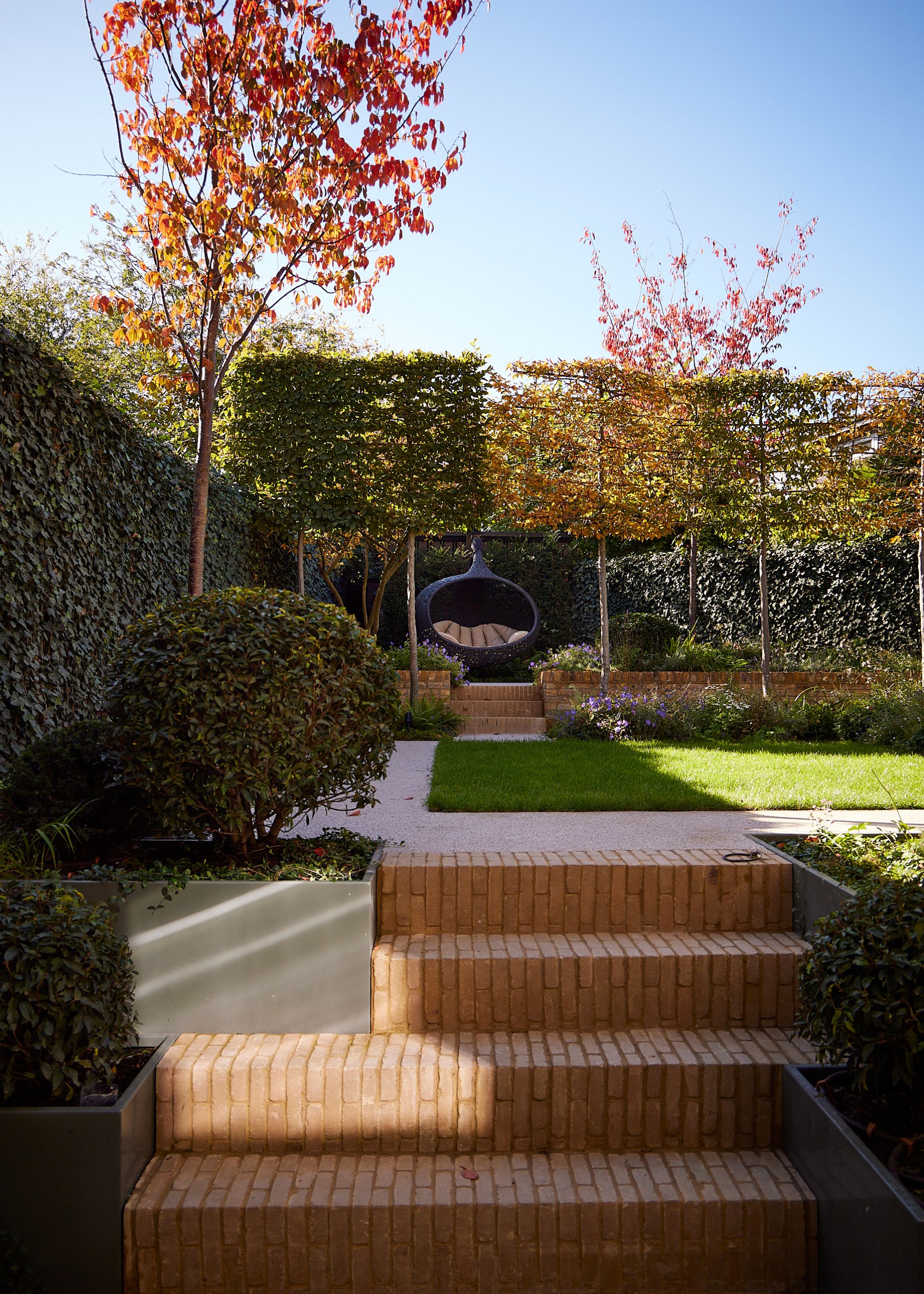 A modern garden with steps leading to a grass lawn with hedging around the perimeter. A black egg chair at the back of the garden, and two trees with orange leaves.