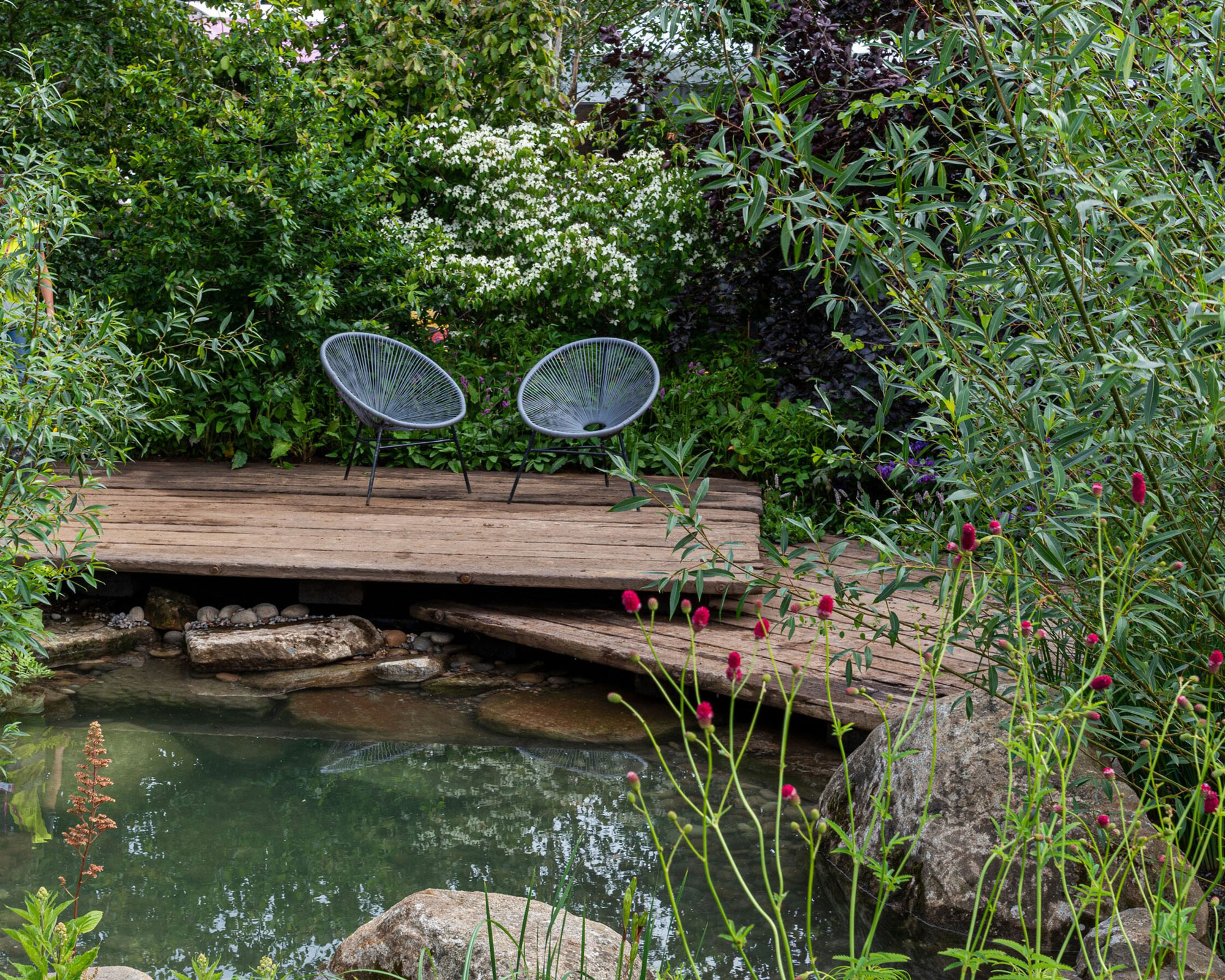 wooden deck with chairs by water feature in garden planted with shrubs and red sanguisorba