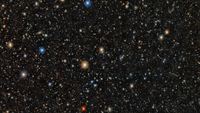Tons of stars are seen against a dark sky.