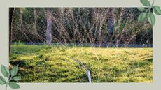 picture of hose pipe serving as sprinkler to water grass seed