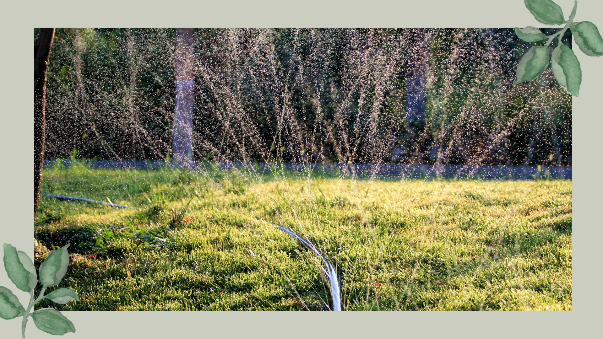 picture of hose pipe serving as sprinkler to water grass seed
