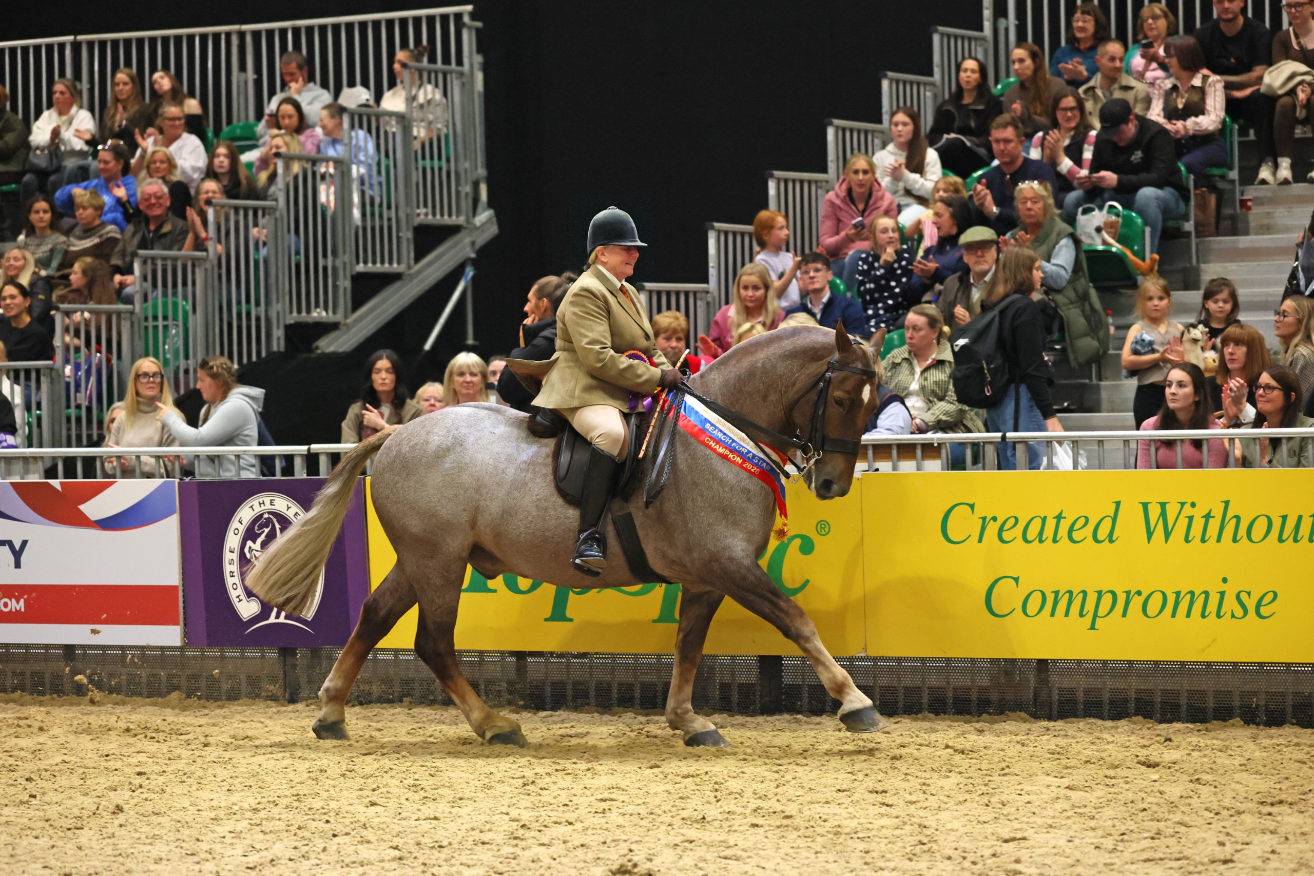 Kay Gillam and Victor I in their lap of honour at HOYS