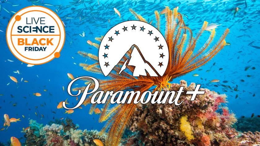 Fish and coral and underwater plant life on the great barrier reef with the live science black friday logo and paramount+ streaming logo overlaid