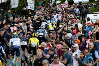 The peloton racing at the Giro d'Italia