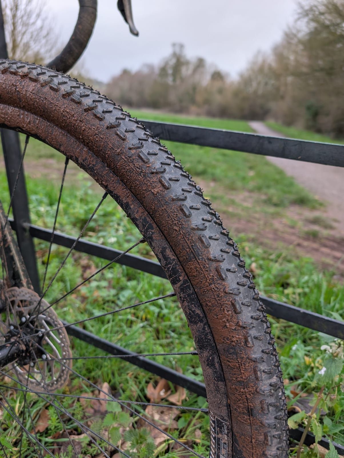 Schwalbe G-One RX