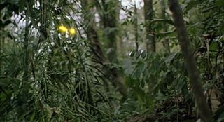 Image result for predator 1987 cloak