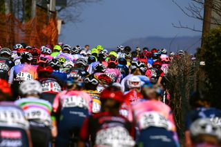 The peloton heading up the road at Trofeo Alfredo Binda-Comune di Cittiglio 2022