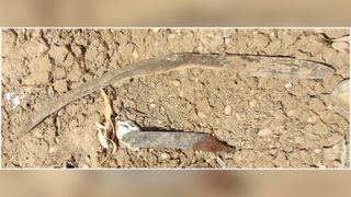 Archaeologists think the boomerangs were thrown out over the water to scare flocks of birds in to nets, but couldn't be found later.