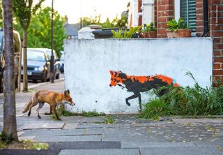 Fox Meets Fox by Matthew Maran, UK Matthew has been photographing foxes close to his home in north London for over a year and ever since spotting this street art had dreamt of capturing this image. After countless hours and many failed attempts his persistence paid off.